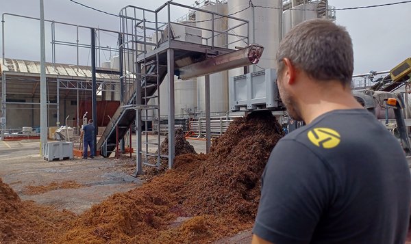 Mahatsen, laranjen eta oliben azpiproduktuekin pentsu jasangarriak egin dituzte Mahatsen, laranjen eta oliben azpiproduktuekin pentsu jasangarriak egin dituzte