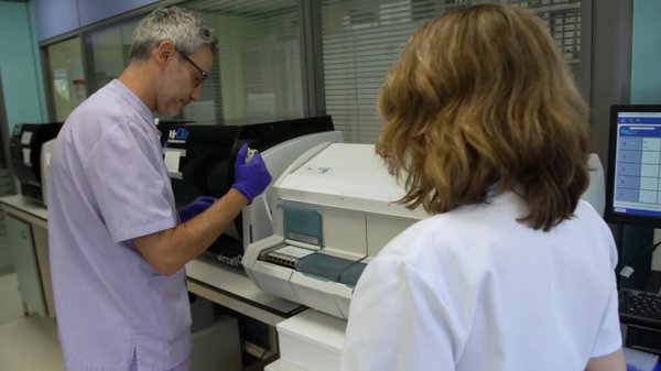 Gaixotasun emergenteei adi Gaixotasun emergenteei adi